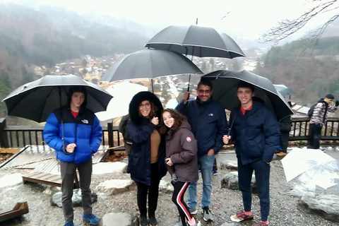 From Kanazawa: Shirakawago Tour with Guide & Transportation Car