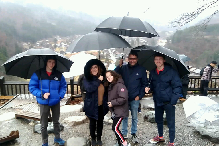 From Kanazawa: Shirakawago Tour with Guide & Transportation Car