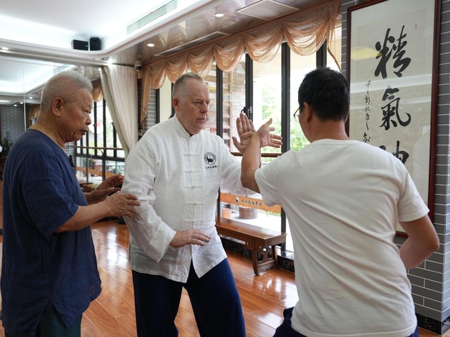 Shanghai: Authentic Kung Fu & TCM or Massage (Half-Day)