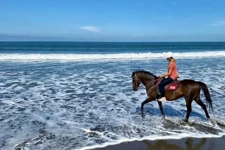 Bali: Saba Beach Horse Riding and Wine Tasting Tour Horse Riding 60 Minute meet in Our location