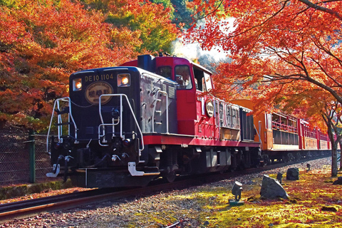 Kyoto Sagano Romantic Train in Arashiyama Bus Tour Half Day Plan