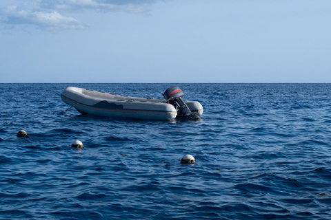 Sharm El-Sheikh: Pvt Speedboat to Tiran Island Snorkel/Dive
