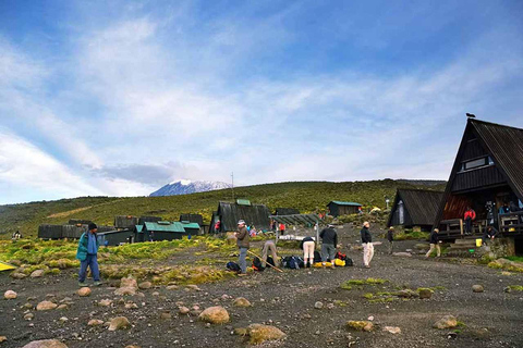 Kilimanjaro: 8-Day Climb via Lemosho Route