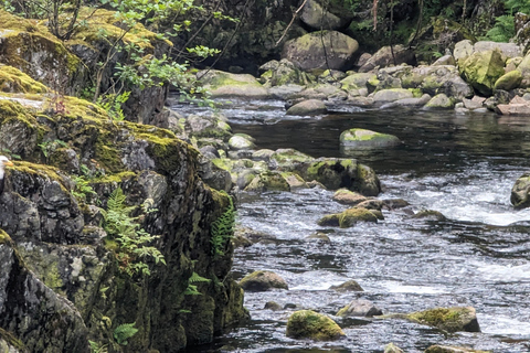 Grouse Mnt+StanleyPark+Hatchery+Cleveland Dam+LynnCanyonTOUR Shared Tour