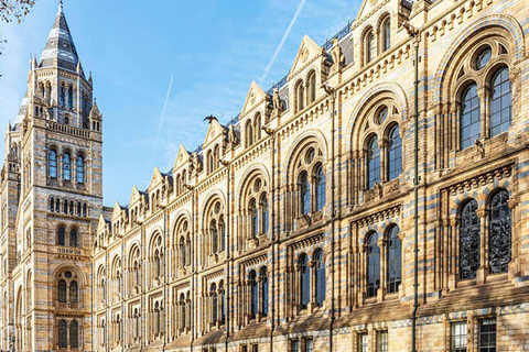 Discover Fossils & Gems at Natural History Museum