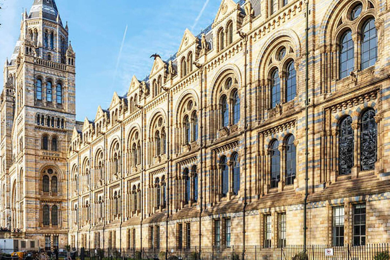 Discover Fossils & Gems at Natural History Museum