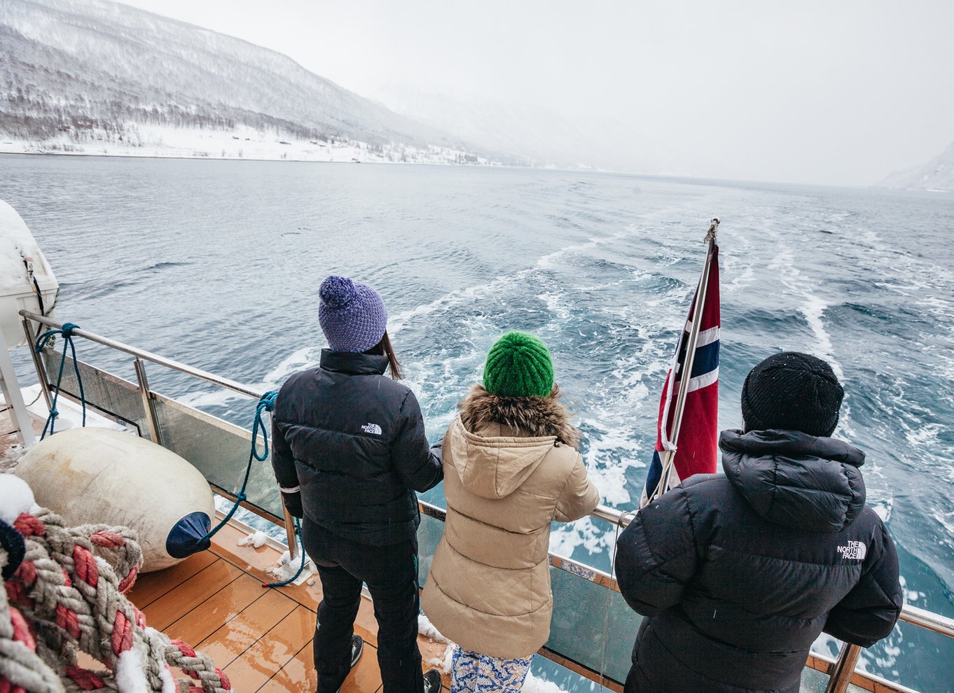 Tromsø: Arktisk fjordkrydstogt med hybridelektrisk katamaran