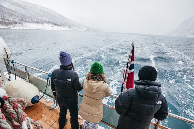 Tromsø: Arktyczny rejs po fiordzie katamaranem hybrydowymTromsø: Arktyczny rejs po fiordzie elektrycznym katamaranem