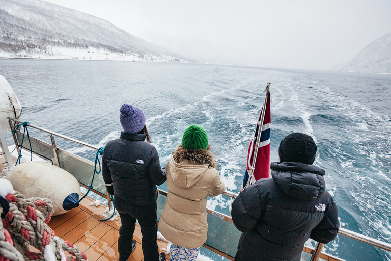 Tromsø: boottocht in fjord met hybride-elektrische catamaranTromsø: boottocht in fjord met elektrische catamaran