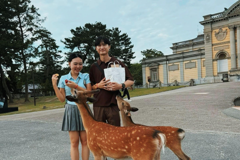 Quioto/Nara/Osaka: Excursão personalizada com pontos turísticos e serviço de busca no hotelKYOTO &amp; Nara: Excursão personalizada com serviço de busca no hotel