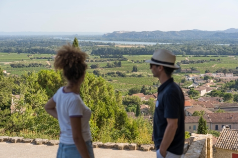 Desde Aviñón: tour del vino por la tarde en Châteauneuf du Pape