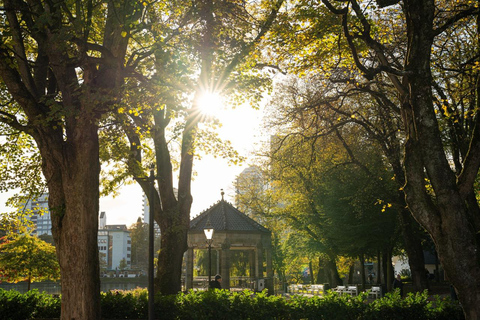 Private Stavanger city Highlights Driving tour