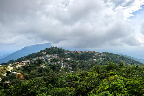 From Huatulco to Pluma Hidalgo: a gastronomic and natural immersion