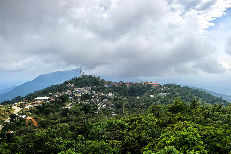 From Huatulco to Pluma Hidalgo: a gastronomic and natural immersion