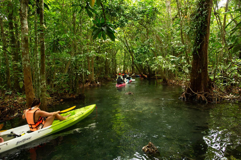 Krabi: Klong Root Kayaking Tour with Swim Stop