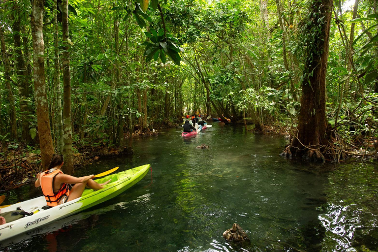 Krabi: Klong Root Kayaking Tour with Swim Stop