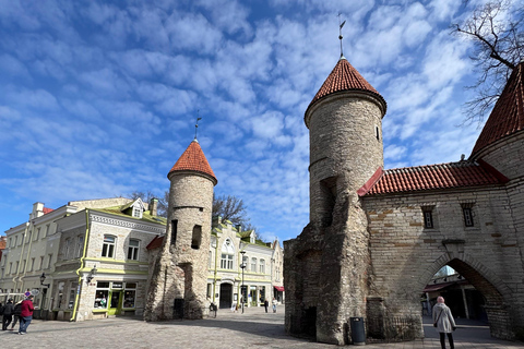 从赫尔辛基出发：塔林一日游（含轮渡和晚餐）