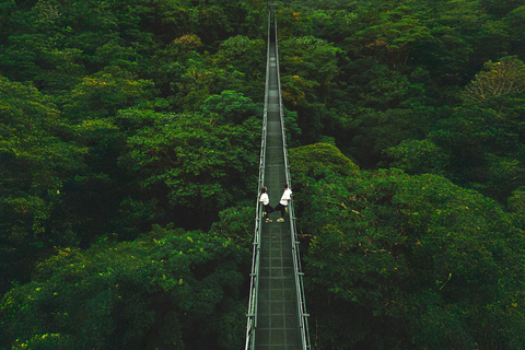 Walk on the hanging bridges of Selvatura Park Hike on the hanging bridges of Selvatura Park