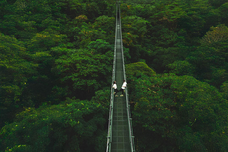 Walk on the hanging bridges of Selvatura Park Hike on the hanging bridges of Selvatura Park