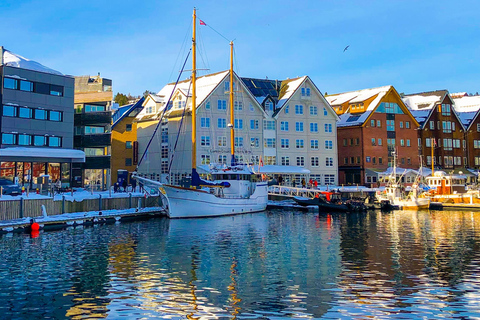 Tromsø : Croisière dans les fjords pour la pêche et les fruits de mer dans l'Arctique à bord d'un yacht de luxeTromsø : Croisière de luxe pour la pêche et les fruits de mer