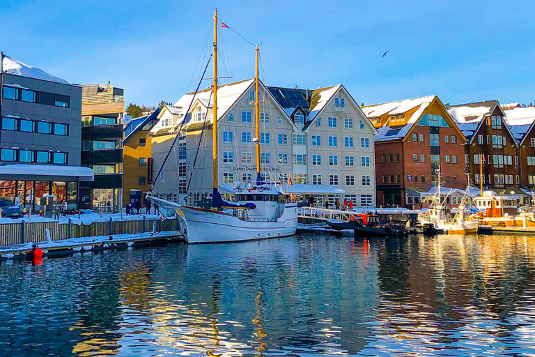 Tromsø:Arktische Fischerei & Meeresfrüchte Fjordkreuzfahrt auf LuxusyachtTromsø: Luxuriöse Kreuzfahrt zum Fischen und für Meeresfrüchte