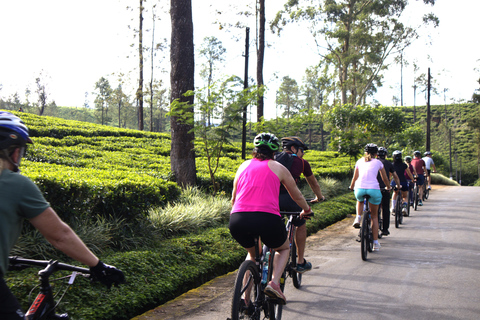 Sri Lanka 14-Day Small-Group Cycling Tour