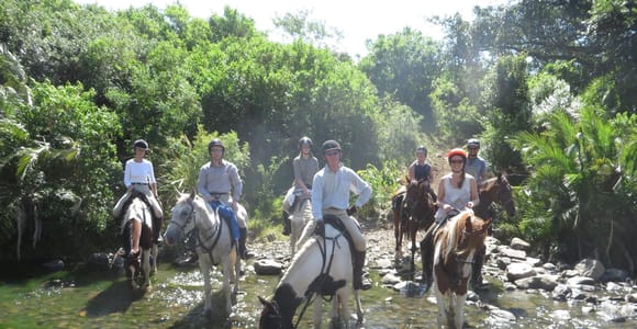 Kemer: Scenic Horseback Riding Tour with Pickup