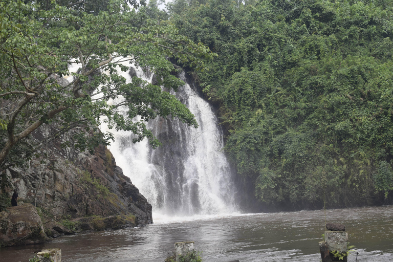 Jinja: Excursión de un día con crucero en barco por el nacimiento del Nilo