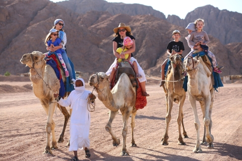 Sharm: Aventura árabe a caballo y paseo en camello con desayunoSharm: Aventura en el desierto a caballo y en camello con desayuno