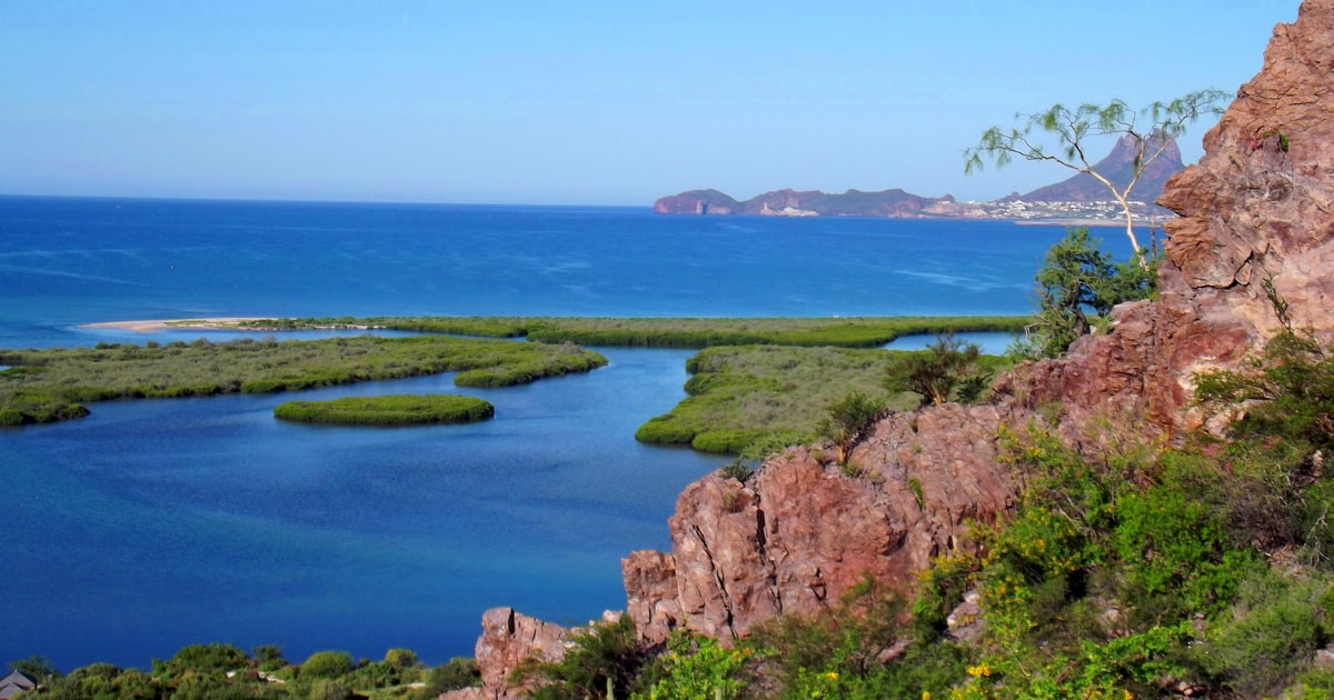 Sonora Zwiedzanie plaży i punktu widokowego San Carlos GetYourGuide