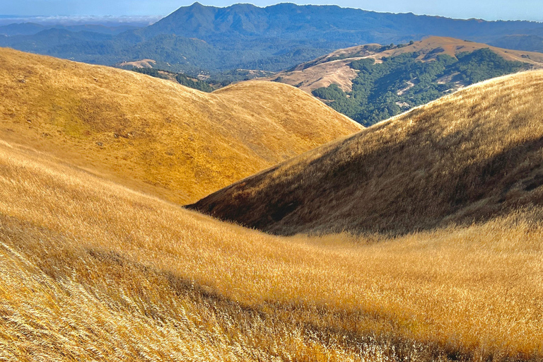 CUSTOM PHOTO ADVENTURES TO THE BAY AREA'S MOST EPIC SCENERY 6-HOUR PHOTO ADVENTURE TO THE BAY AREA'S MOST EPIC SCENERY
