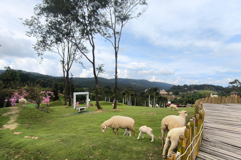 Chiang Mai: Pro Private Driver Service with Custom Itinerary