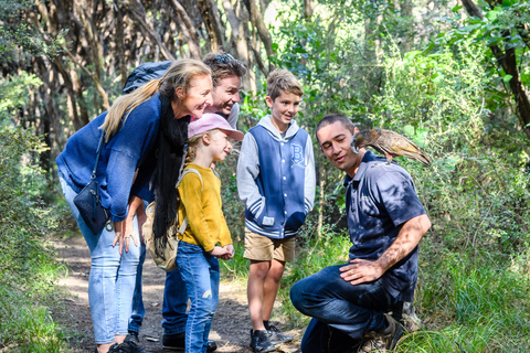 Kapiti Island: Klassisk guidad dagstur