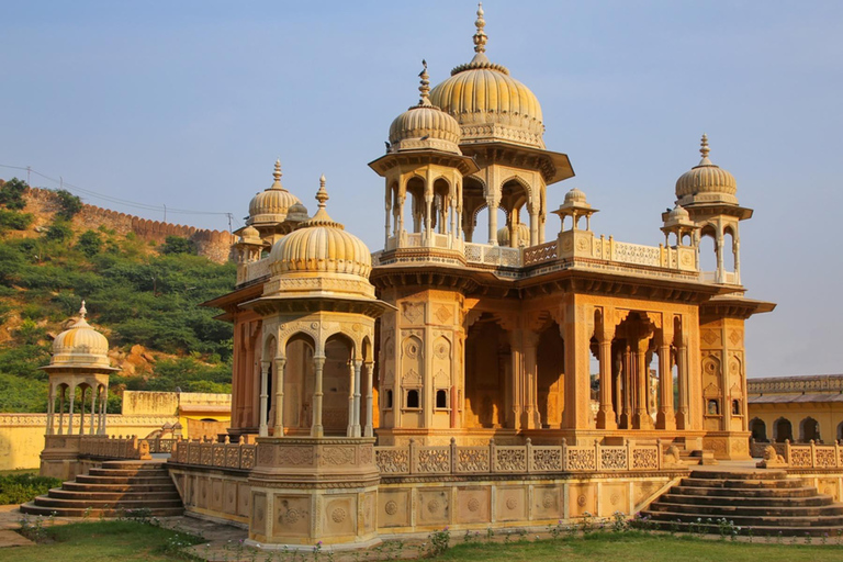 Jaipur: Full-Day Pink City Tour with Masala Tea Tour by Car and Driver with a Guide