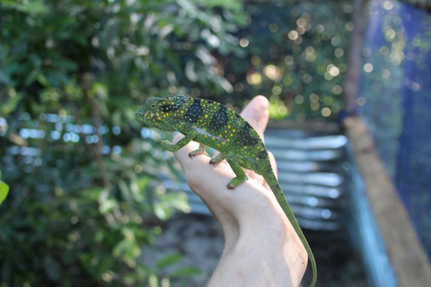 Zanzibar: Floresta de Jozani, centro de borboletas e praia de MtendeTour particular com traslado de ida e volta no hotel incluído