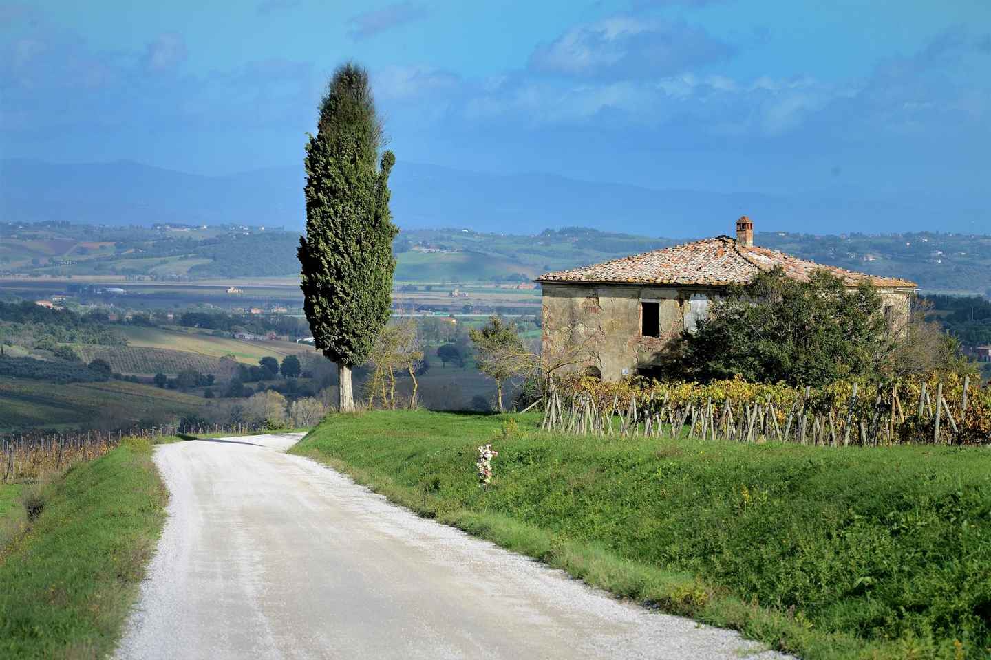 Montepulciano et Pienza : Découverte des trésors de la Toscane !