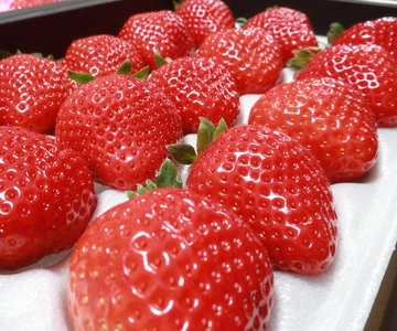 Escursione di un giorno in autobus a Fukuoka per la raccolta della frutta e Dazaifu, Yanagawa