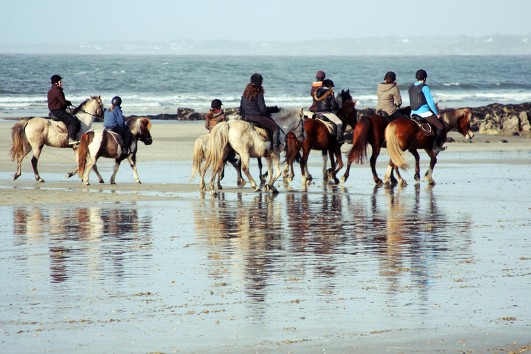 Corfu: Beachside Horseback Ride with Coastal Views Corfu: Sunset Beachside Horseback Ride with Coastal Views