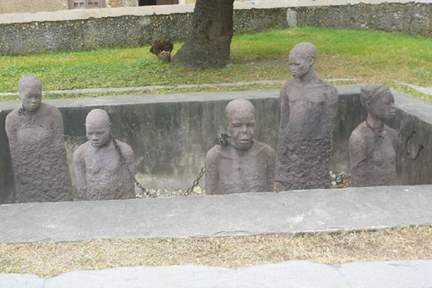 زنجبار: جولة في غابة جوزاني ومدينة ستون تاون ومزرعة التوابل