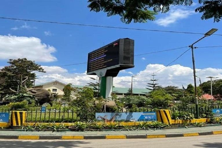 Traslado do aeroporto de Kilimanjaro para Arusha/Moshi