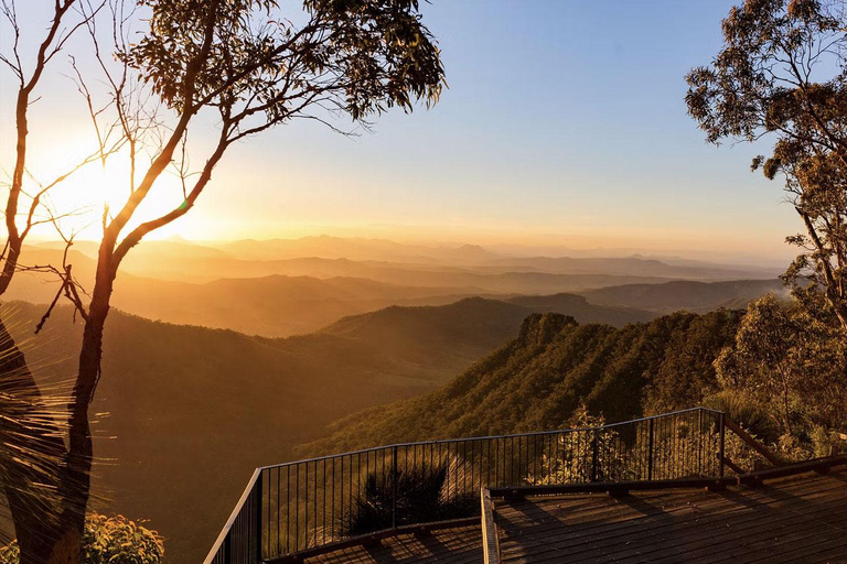 Brisbane: Hop on Hop off Bus to Tamborine Mountain