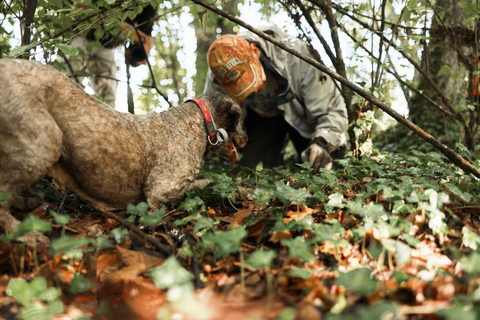 Zagreb Private Truffle Hunting Tour