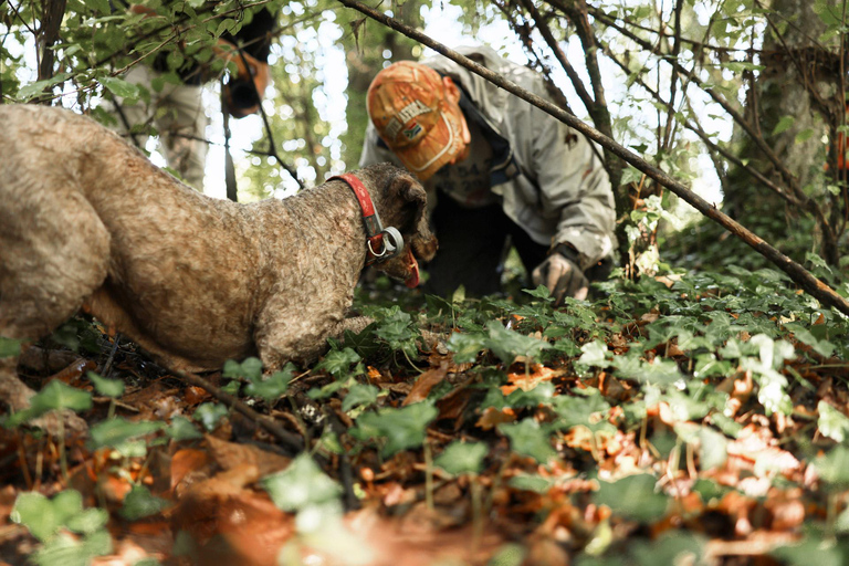 Zagreb Private Truffle Hunting Tour