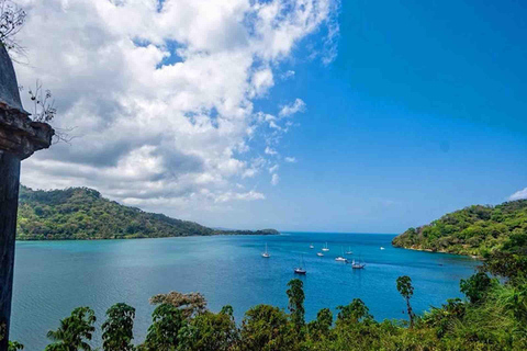 Panama City: Portobelo Jungle, Reef & Venas Azules Tour