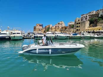 Castellammare del Golfo: Half-Day Boat Rental in July