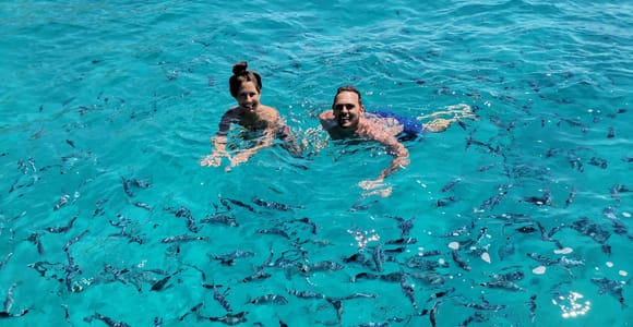Olbia: Tour of the most beautiful coves on the coast of Olbia and Capo Figari