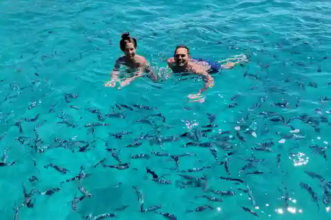 Olbia: Dolphin watching and snorkeling tour on Figarolo Island