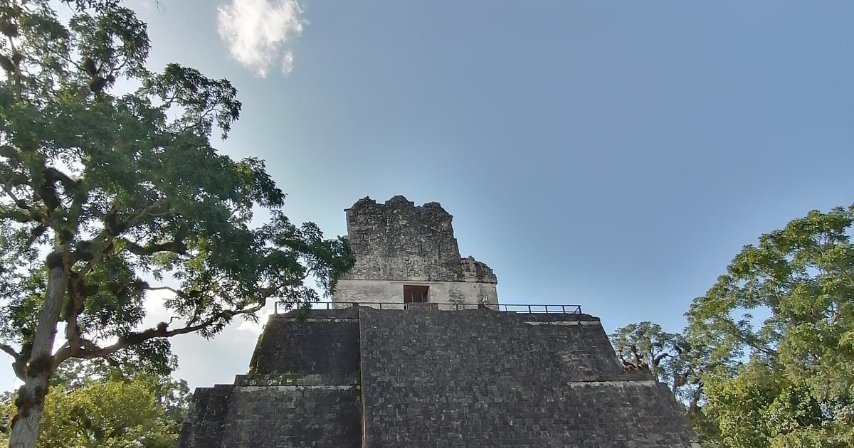 From flores tikal from mundo maya airport lunch guide getyourguide