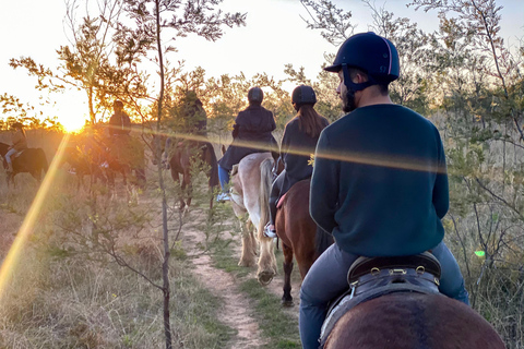 Hunter Valley: Sunset Horse Riding Tour 90min