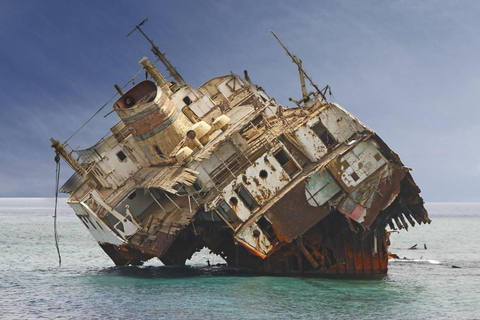 Sharm El-Sheikh : Tiran Isand Cruise Snorkel & Dive w/Lunch Snorkeling Trip